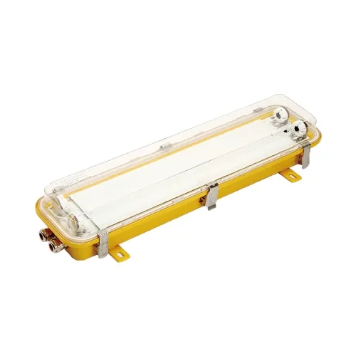 Explosion Proof 2FT Marine Light Fitting (CFY21-2L / CFY21-2EL)